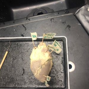 Meet your Posher, Jim